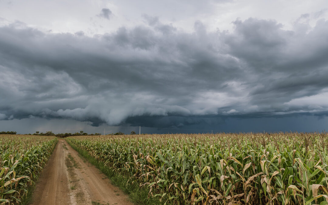 Pronóstico del Clima: Semana del 21 al 27 de junio